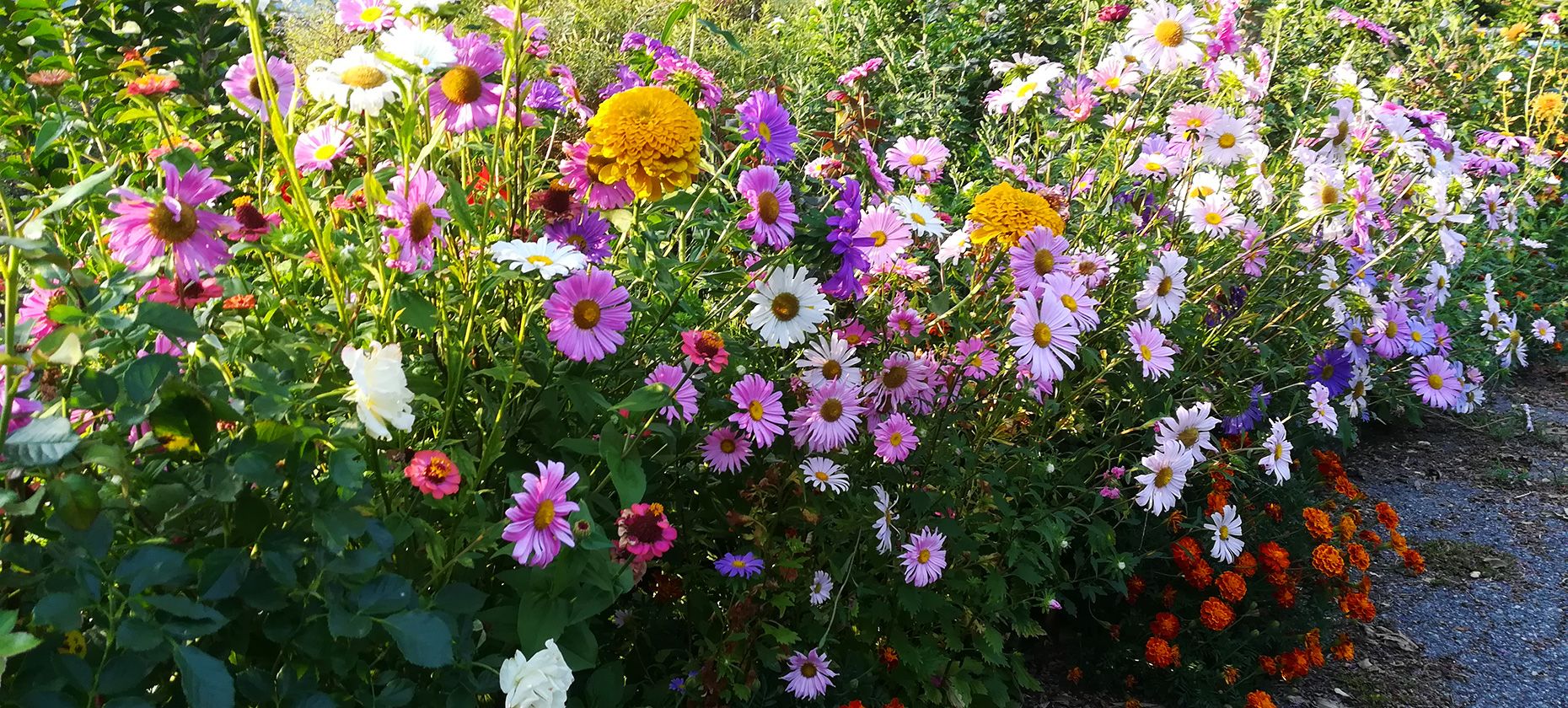 [Translate to italienisch:] 